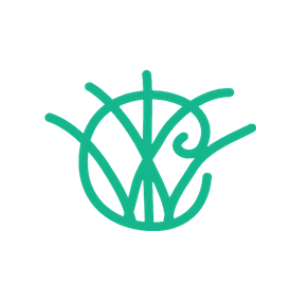 partner international womens club partner international womens club