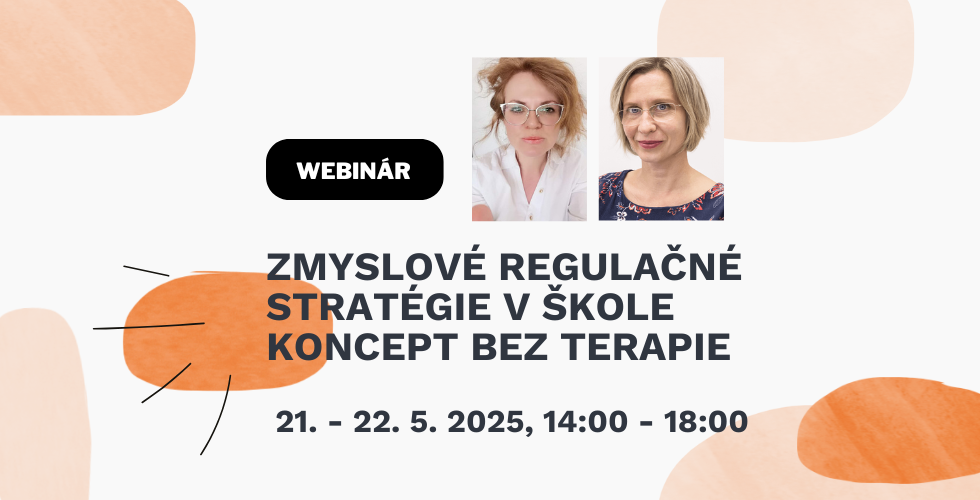 Zmyslove regulacne strategie