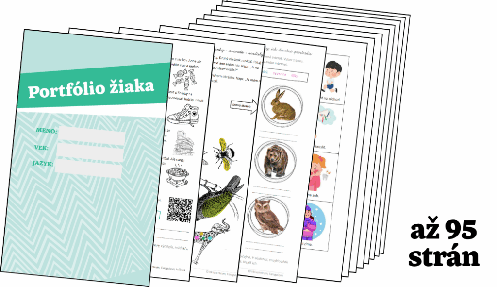 Portfolio nahladovy obrazok